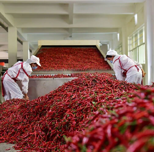 Red Chilli